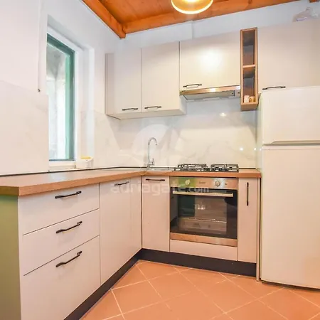 House Oliva Tkon