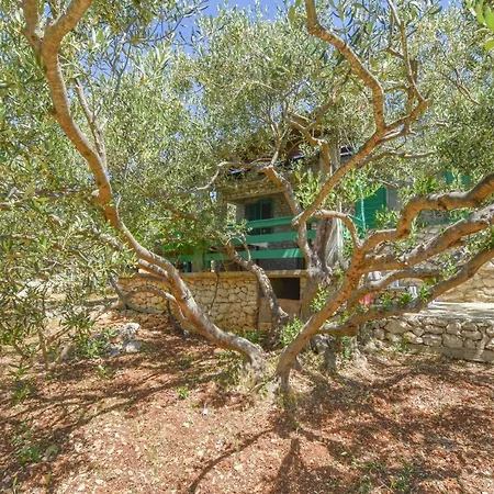 House Oliva Tatil Evi *