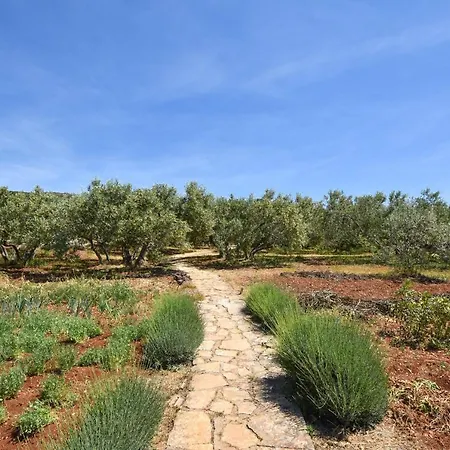 Holiday home House Oliva