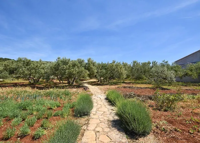 Vikendica House Oliva