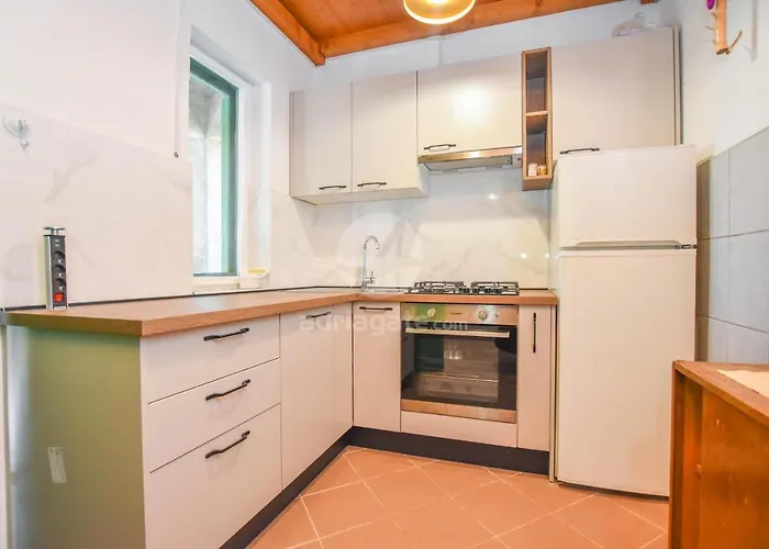 House Oliva Tkon